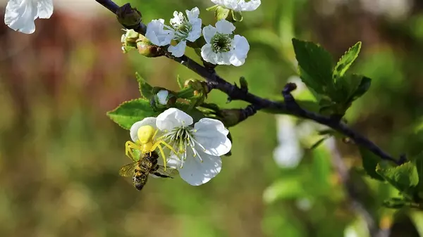 Праздник сегодня, 28 мая: что запрещено делать, у кого День ангела, народные приметы