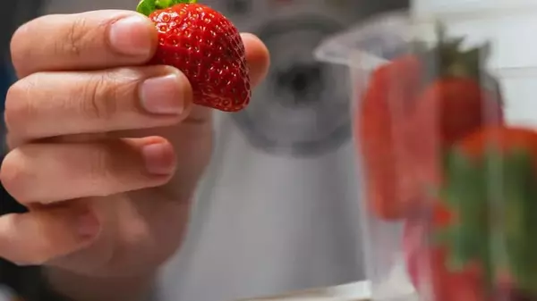 Как хранить клубнику, чтобы оставалась свежей 2 недели: вот куда ее положить