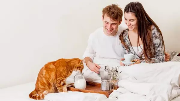 Эта привычка у кота во время еды может быть опасной: ветеринар объяснила, когда стоит волноваться