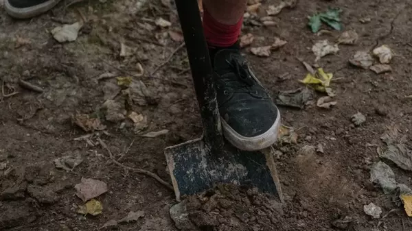 Две таблетки на ведро воды – чудодейственный раствор от всех болезней и вредителей огорода