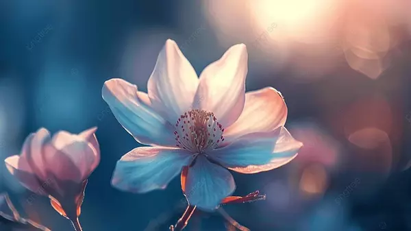 Праздник сегодня, 31 мая: что нельзя делать, у кого День ангела, народные приметы