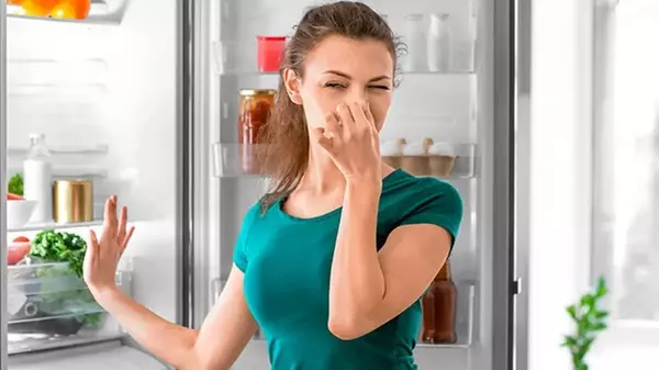 Назван неожиданный продукт, который уберет запах в холодильнике: дешево и просто