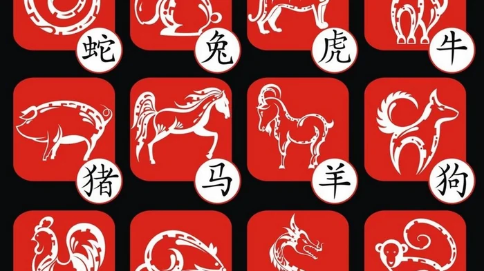 Шесть китайских знаков Зодиака вот-вот исполнят мечты