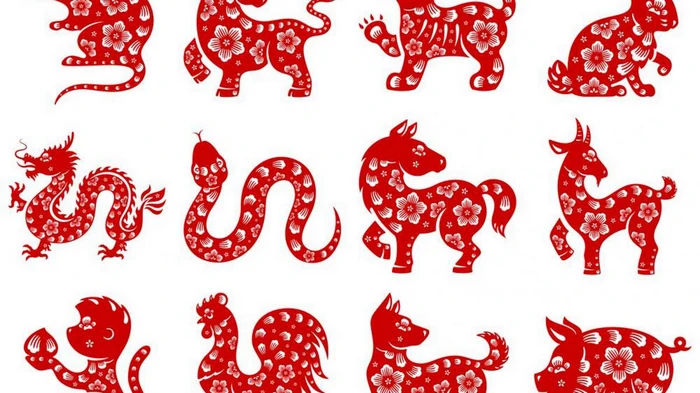 Шесть китайских знаков Зодиака вот-вот ощутят прилив удачи и изобилия