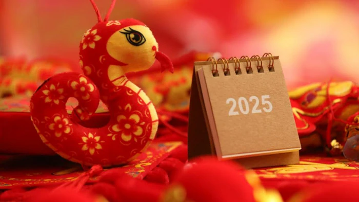 Шуточный гороскоп на 2025 год