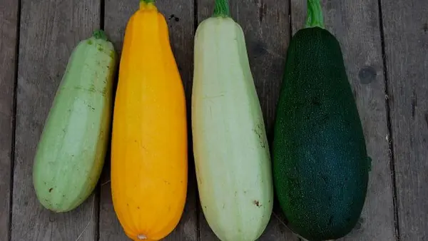 Вот как можно распознать ядовитые кабачки, от которых могут выпасть волосы