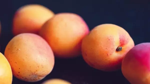 Лучший летний фрукт для плоского живота, здоровой кожи и идеального загара