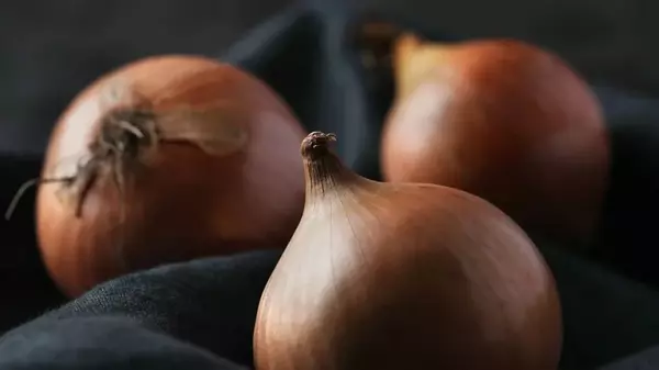 Где и как правильно хранить лук, чтобы не портился целый год: лучшие места