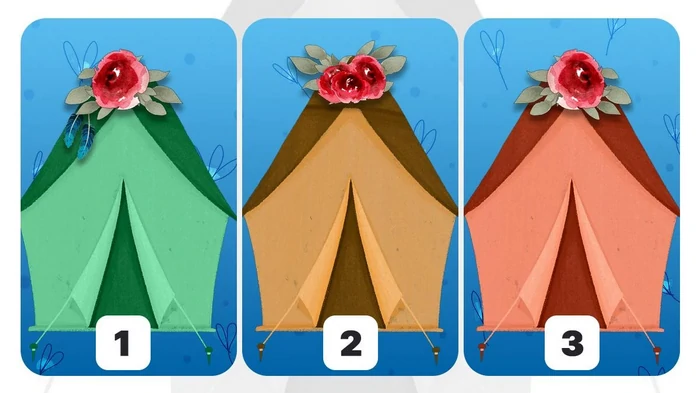 Вы экстраверт или интроверт: точный и быстрый тест на личность