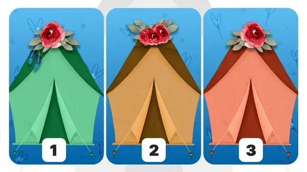 Вы экстраверт или интроверт: точный и быстрый тест на личность