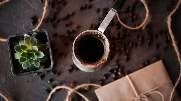 Как подкормить огород кофейной гущей: опытные садоводы раскрыли все нюансы