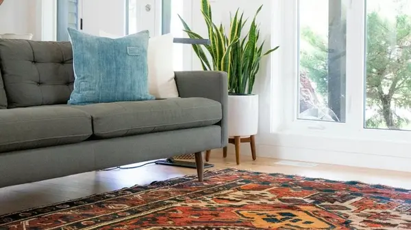 Чем помыть ковер в домашних условиях от грязи и запаха: три проверенных способа