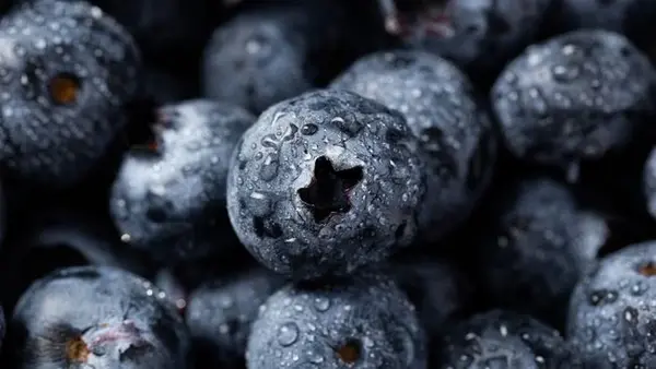 Названы 3 категории людей, кому нельзя есть голубику