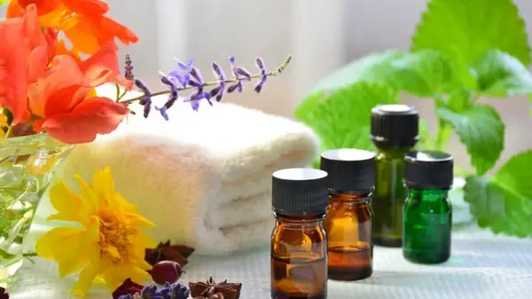 Насекомые исчезнут без труда: какое эфирное масло взять от мух, муравьев и мошек