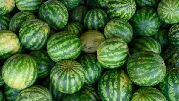 Эти арбузы есть нельзя! Шокирующие признаки, указывающие на опасность для здоровья
