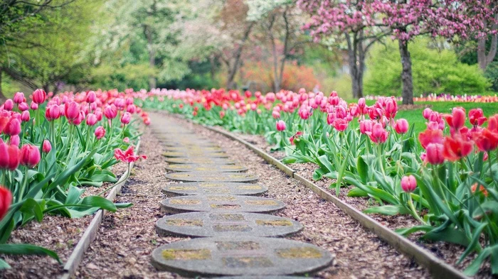 Из чего сделать садовые дорожки, чтобы было красиво и бюджетно