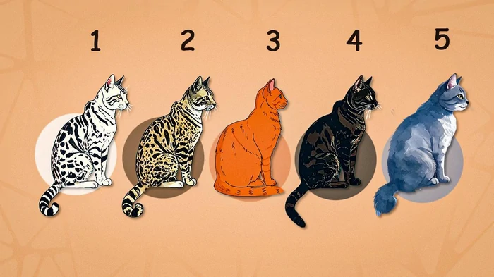 «Кошачий» тест на жизненные ценности: какого кота выбирают семейные люди