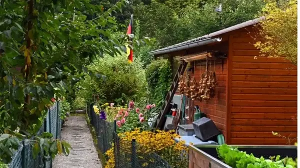 За что штрафуют немецких дачников: почему в стране нельзя ночевать на даче