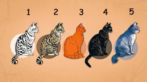 «Кошачий» тест на жизненные ценности: какого кота выбирают семейные люди