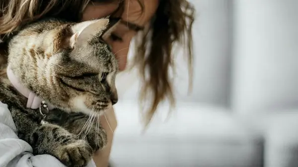 Специалисты ответили, действительно ли коты могут почувствовать болезнь хозяина