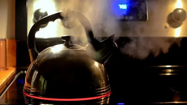 Как избавиться от накипи в чайнике: эксперт раскрыла секретный и действенный метод