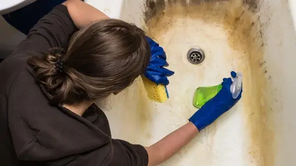 Как бороться с плесенью в душе: блогер поделилась эффективным лайфхаком