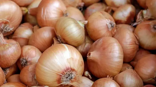 Как сушить лук в сушилке, духовке