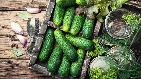 Утонченный вкус и пикантность: как готовить огурцы на зиму с горчицей и чесноком