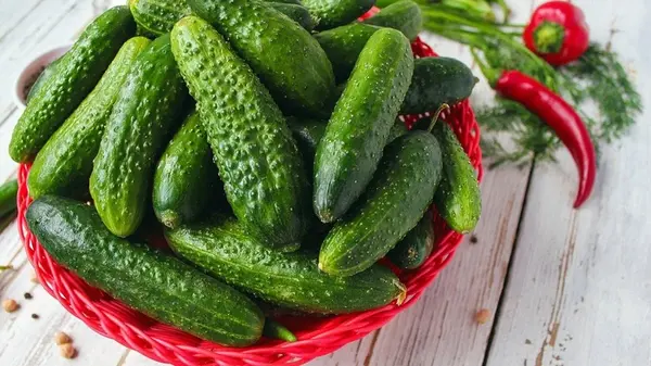Не выбрасывайте горькие плоды: как сделать огурцы вкусными за одну минуту — кулинарный трюк