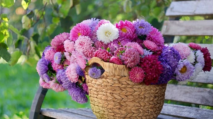 Гороскоп на неделю: для всех знаков зодиака