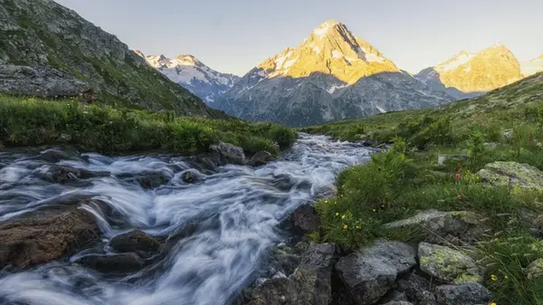 Можно ли пить воду из реки? Опасности, о которых вы могли не знать