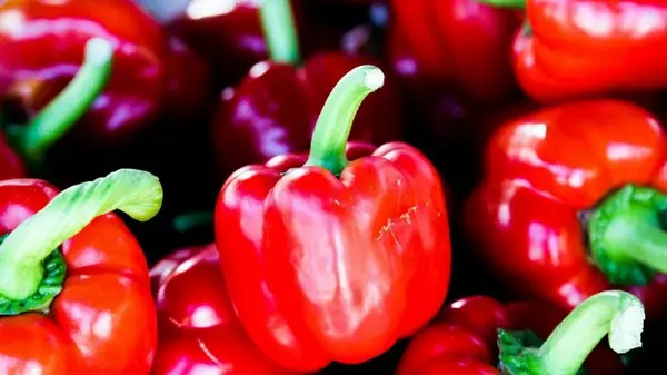 Собираете урожай перцев вплоть до октября: в июле подживите растение действенным коктейлем