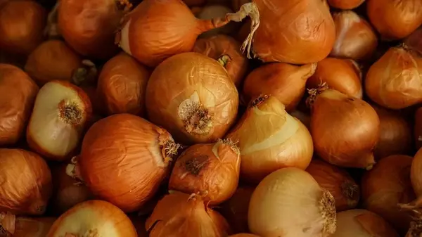 Даже без гаража или погреба: как правильно хранить лук, чтобы он не портился до весны