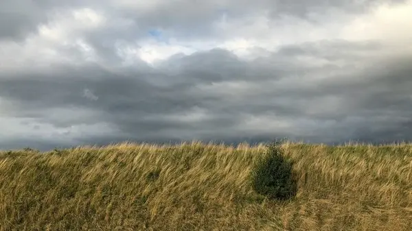 Как по народным приметам определить погоду: наши предки знали, когда будет дождь или ураган