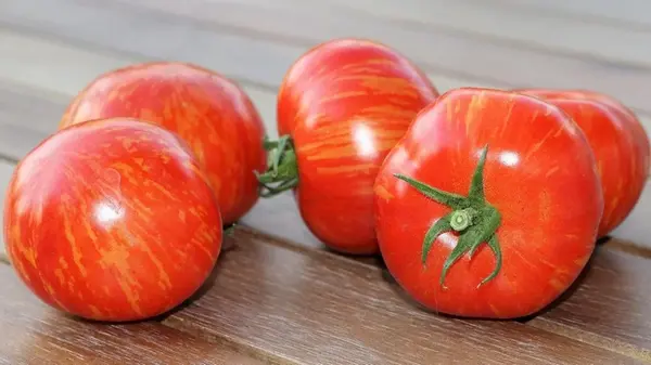 Это место убивает вкус помидоров: где нужно хранить томаты, чтобы они долго оставались свежими