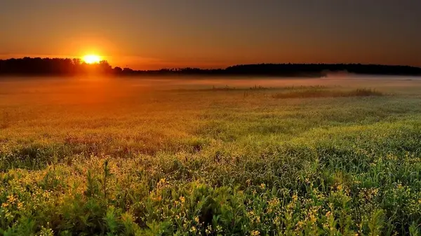Гороскоп на неделю: для всех знаков зодиака