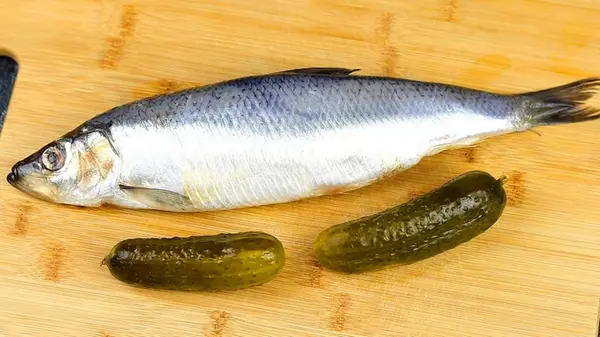 Как приготовить закуску из маринованного огурца к сельди