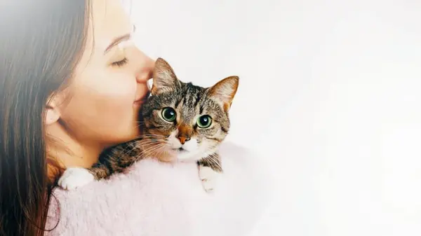 Почему нельзя целовать домашнюю кошку: что чувствует животное, когда вы так делаете