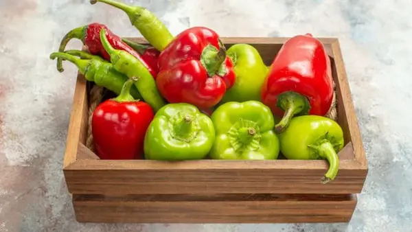 Вот какой болгарский перец не подходит для консервации: испортит все закрутки