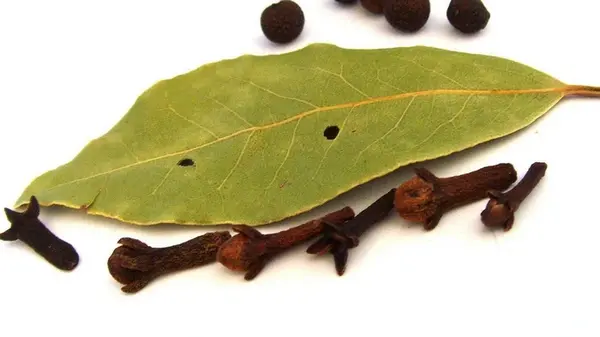 Лавровый лист и один неожиданный компонент — готовое чудо-средство для помидоров