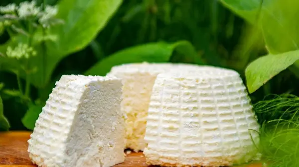 Можно ли есть домашний творог после 50 лет: мнение врачей