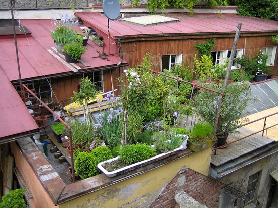 Как обустроить сад на крыше