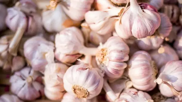 Чеснок будет лежать свежим вплоть до следующего лета, если сделаете одну вещь: зачем нужна соль