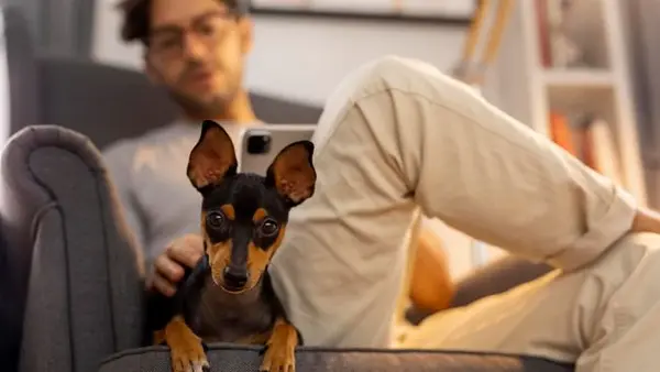 Имя животного может влиять на его характер: как выбрать правильно и избежать ошибок