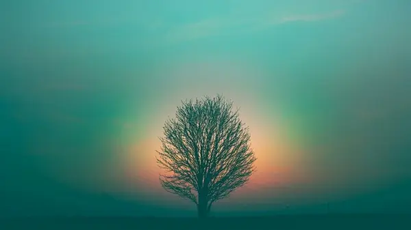 Все изменится и желания начнут осуществляться: как рассчитать, какой год станет переломным в жизни