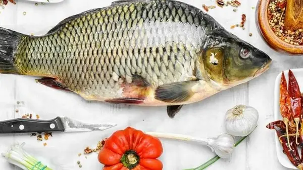 Полезная рыба, которая стоит копейки: почему ее нужно включить в свой рацион