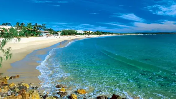 Почему в Австралии купаются в колготках и не ходят босиком по пляжу: причина удивит