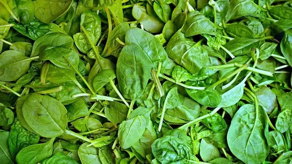 Диетологи назвали овощ номер один для долголетия