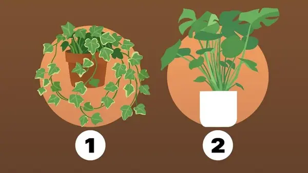 Умеете ли вы признавать свои ошибки: тест на личность за 1 минуту