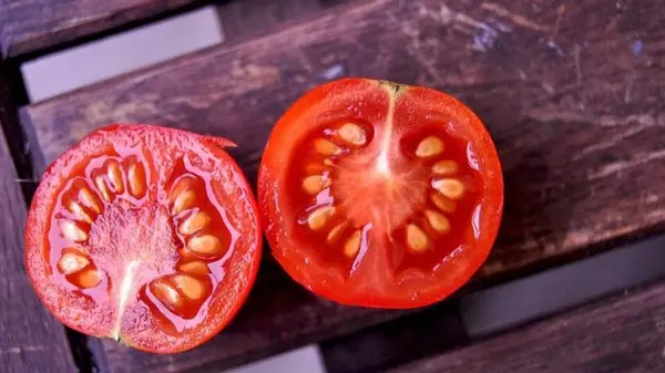 Как собрать семена помидоров: лучшие способы